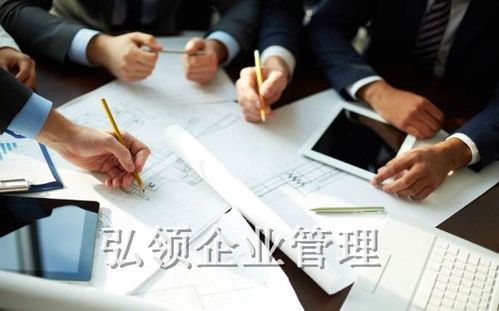 安徽弘領企業管理咨詢 賦能企業成長的智慧伙伴